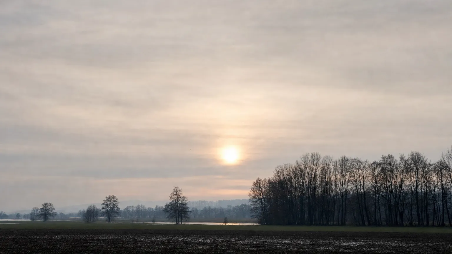 Novembersonne als blasse Scheibe: der Mittagsstand ist auf rund 21 Grad gefallen. (mit AI erstelltes Bild)